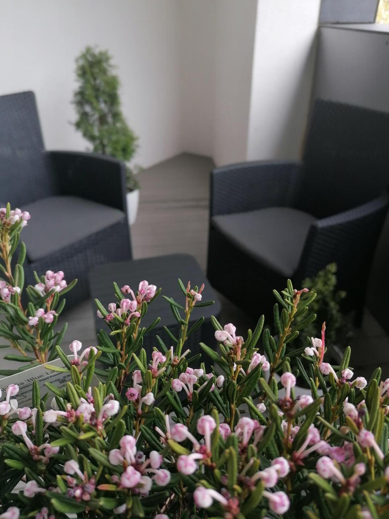 Szczecin Hanza Tower Apartment-Basen Экстерьер фото
